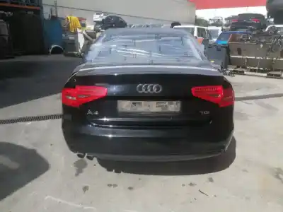 Scrapping Vehicle audi a4 berlina 2.0 16v tdi of the year 2012 powered cjca