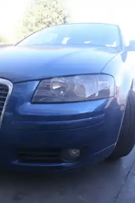 Veicolo di demolizione audi a3 (8p) 1.9 tdi dell'anno 2006 alimentato bxe