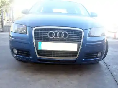 Veicolo di demolizione audi a3 (8p) 1.9 tdi dell'anno 2006 alimentato bxe