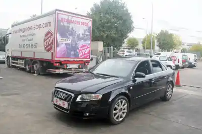 Véhicule à la ferraille AUDI A4 BERLINA (8E) 2.0 TDI 16V (103kW) de l'année 2005 alimenté BLB