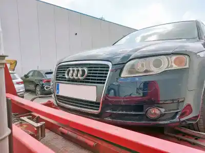 Scrapping Vehicle audi a4 avant (8e) 3.0 v6 24v tdi of the year 2005 powered bkn