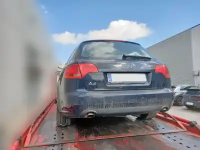 Scrapping Vehicle audi a4 avant (8e) 3.0 v6 24v tdi of the year 2005 powered bkn
