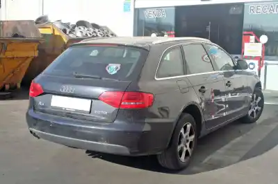 Veículo de Sucata audi a4 avant (8k5) (2008) básico do ano 2009 alimentado cagc