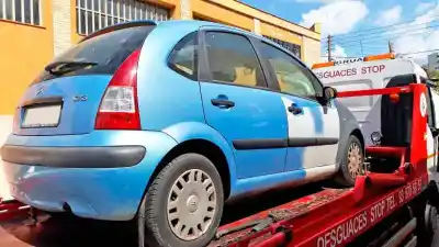 Veicolo di demolizione CITROEN C3 PLURIEL  dell'anno 2006 alimentato KFV (TU3JP)