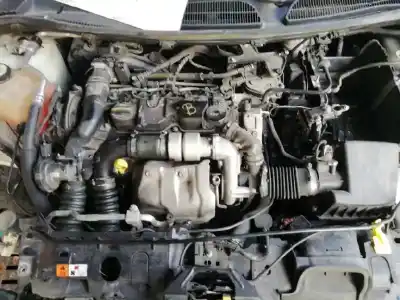 Veicolo di demolizione ford fiesta (cb1) motor 1.6 ltr. - 70 kw tdci cat dell'anno 2011 alimentato tzja