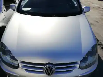 Véhicule à la ferraille volkswagen golf v berlina (1k1) 1.9 tdi de l'année 2004 alimenté bkc