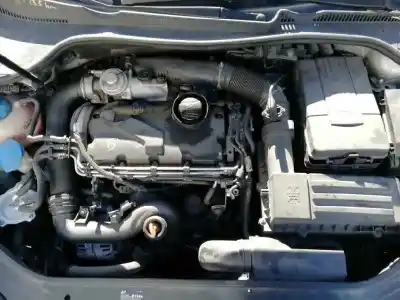 Véhicule à la ferraille volkswagen golf v berlina (1k1) 1.9 tdi de l'année 2004 alimenté bkc