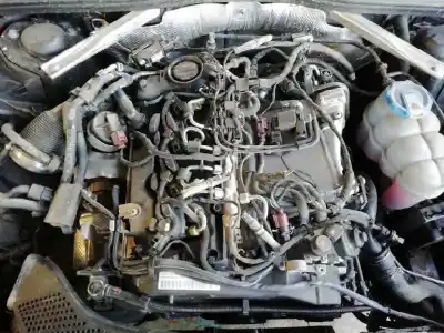 Scrapping Vehicle audi a4 berlina (8w2) sport edition of the year 2017 powered deua