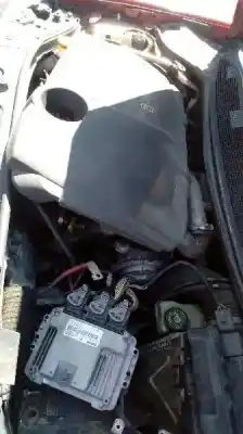 Scrapping Vehicle renault                                            megane ii sedán (lm0/1_)                                                                                                                                                                                                                                   1.9 dci (lm0g lm1g lm2c) of the year 2004 powered f9q b8