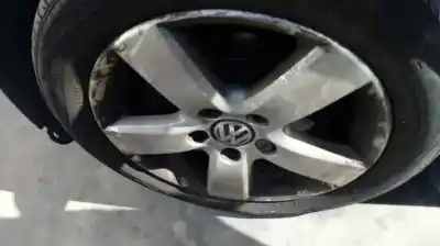 Véhicule à la ferraille volkswagen golf v berlina (1k1) 1.9 tdi de l'année 2008 alimenté bxe