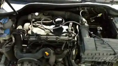 Véhicule à la ferraille volkswagen golf v berlina (1k1) 1.9 tdi de l'année 2008 alimenté bxe