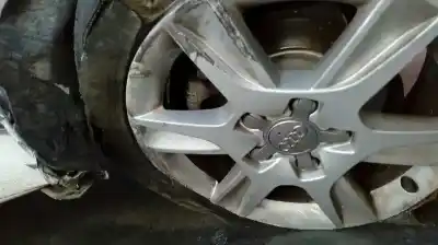 Veicolo di demolizione audi a3 (8p) 1.6 tdi ambiente dell'anno 2010 alimentato cay