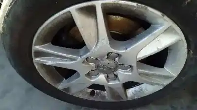 Veicolo di demolizione audi a3 (8p) 1.6 tdi ambiente dell'anno 2010 alimentato cay