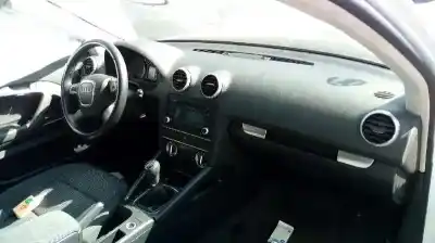 Veicolo di demolizione audi a3 (8p) 1.6 tdi ambiente dell'anno 2010 alimentato cay
