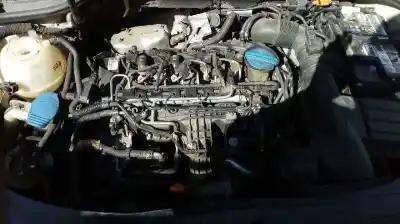 Veicolo di demolizione audi a3 (8p) 1.6 tdi ambiente dell'anno 2010 alimentato cay
