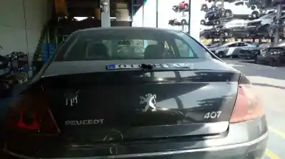 Scrapping Vehicle peugeot 407 (6d_) 1.6 hdi 110 (6d9hzc 6d9hyc) of the year 2005 powered 9hz