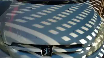 Véhicule à la ferraille peugeot 307 break / sw (s1) sw de l'année 2004 alimenté rhs