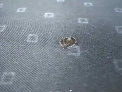 Здавання транспортного засобу toyota yaris (ksp9/scp9/nlp9) blue року 2008 потужний 1nd