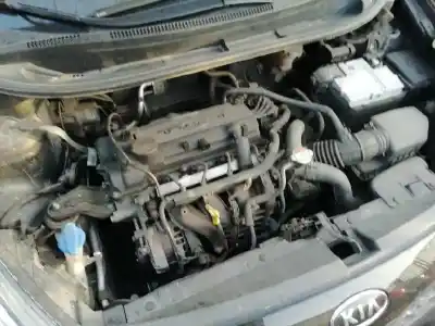 Veicolo di demolizione kia rio basic dell'anno 2012 alimentato g4la