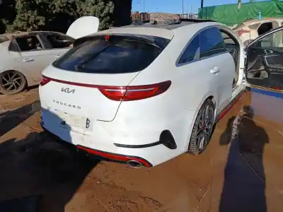 Scrapping Vehicle kia proceed (cd) 1.6 t-gdi gt of the year 2023 powered g4fj