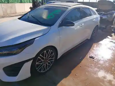 Scrapping Vehicle kia proceed (cd) 1.6 t-gdi gt of the year 2023 powered g4fj