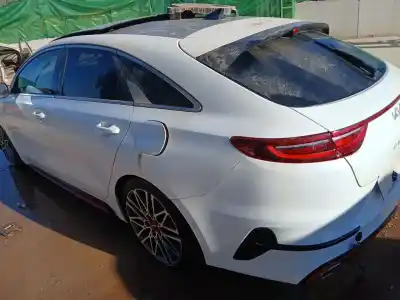 Scrapping Vehicle kia proceed (cd) 1.6 t-gdi gt of the year 2023 powered g4fj