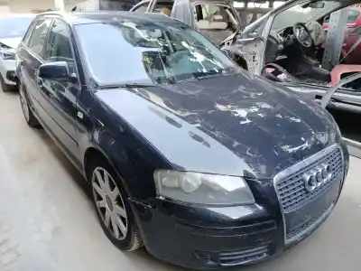 Veicolo di demolizione audi a3 (8p1) 1.9 tdi dell'anno 2007 alimentato bkc,bls,bxe