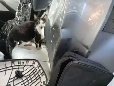 Sloopvoertuig tesla model 3 (5yj3) ev awd van het jaar 2024 aangedreven 3d3,3d7