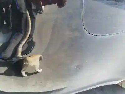 Scrapping Vehicle audi a4 avant (8e) 2.0 tdi of the year 2005 powered blb