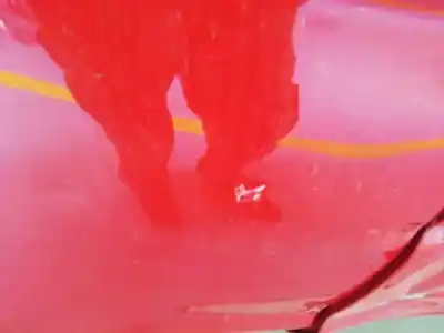 Sloopvoertuig ford fiesta (cb1) trend van het jaar 2010 aangedreven f6jd