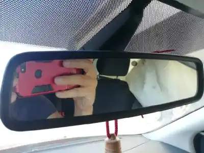 Véhicule à la ferraille ford focus lim. (cb8) edition de l'année 2014 alimenté t1da