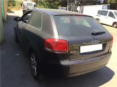 Veículo de Sucata audi a3 (8p1) 2.0 tdi 16v do ano 2004 alimentado bkd