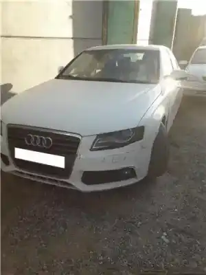 Véhicule à la ferraille AUDI A4 BERLINA (8K2) 2.0 Basis de l'année 2009 alimenté CAGA