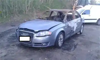 Veículo de Sucata AUDI A4 BERLINA (8E) 3.0 TDI Quattro (150kW) do ano 2005 alimentado BKN