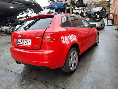 Scrapping Vehicle audi a3 sportback (8p) 2.0 tdi limited edition (103kw) of the year 2006 powered bkd