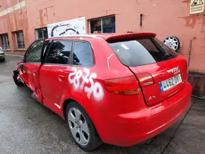 Scrapping Vehicle audi a3 sportback (8p) 2.0 tdi limited edition (103kw) of the year 2006 powered bkd
