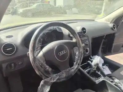 Scrapping Vehicle AUDI A3 (8P) 1.9 TDI Ambiente of the year 2005 powered BKC