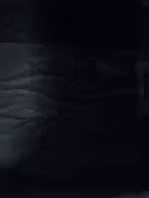 Scrapping Vehicle seat toledo ii (1m2) 1.9 tdi of the year 2000 powered asv