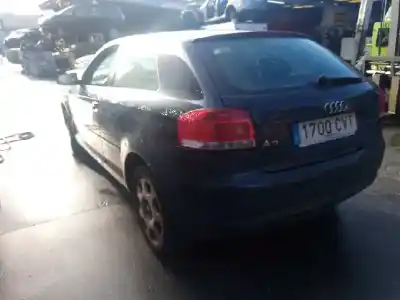 Scrapping Vehicle audi a3 (8p) 1.9 tdi ambiente of the year 2004 powered bkc