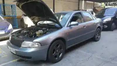 Scrapping Vehicle AUDI A4 B5 AVANT (8D5) 1.9 TDI of the year 1996 powered 1Z