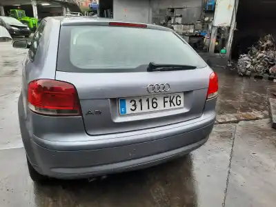 Scrapping Vehicle audi a3 (8p) 1.9 tdi ambiente of the year 2007 powered bls