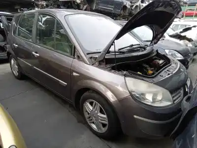 Scrapping Vehicle RENAULT                                            GRAND SCÉNIC II (JM0/1_)                                                                                                                                                                                                                                   1.9 DCI (JM0G, JM12, JM1G, JM2C)                                                                                                                                                                                                                           of the year 2005 powered F9Q 812