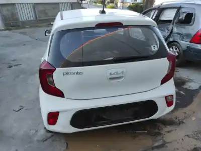 Scrapping Vehicle kia picanto (ja) g3ld of the year 2022 powered g3ld