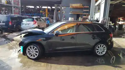 Veículo de Sucata audi a3 sportback (8va, 8vf) 1.6 tdi do ano 2017 alimentado cxxb