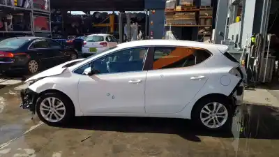 Scrapping Vehicle kia cee´d (jd) 1.6 crdi 128 of the year 2015 powered d4fb