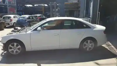 Sloopvoertuig audi a4 berlina (b8) 2.0 16v tdi van het jaar 2010 aangedreven cagb