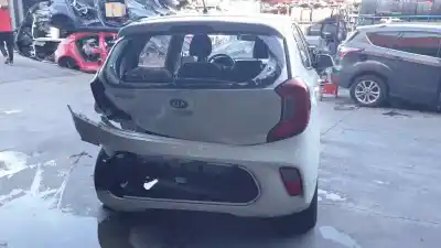 Утилизация автомобиля kia picanto (ja) 1.0 cat года 2019 питание g3la