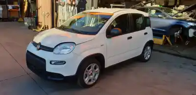 Veículo de Sucata fiat panda (319) base (2020->) do ano 2024 alimentado 46341162