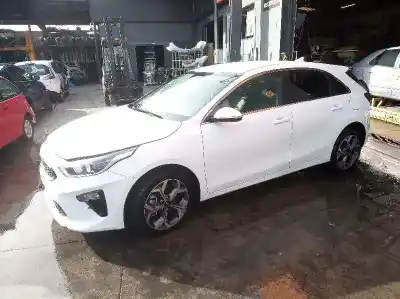 Sloopvoertuig kia ceed (cd) 1.6 crdi 136 van het jaar 2019 aangedreven d4fe