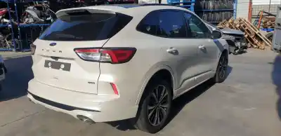 Veículo de Sucata ford kuga hybrid st-line x do ano 2020 alimentado bgda